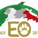 European Open FCI d'Agility 2017 @ Salice Terme (PV), Italia