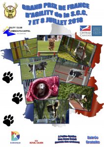 Grand Prix de France d'Agility 2018 @ Armbouts-Cappel (59380)