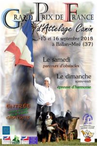 Grand Prix de France d'Attelage 2018 @ Ballan-Miré (37510)