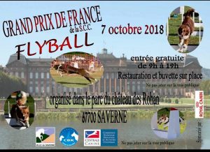 Grand Prix de France de Flyball 2018 @ Saverne (67700)