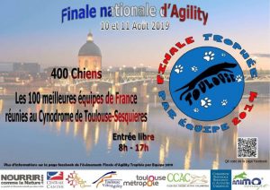 Trophée d'Agility par Équipes 2019 @ Cynodrome de Toulouse