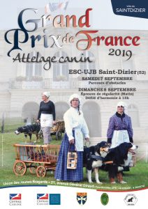Grand Prix de France d'Attelage 2019 @ Saint Dizier (52100)