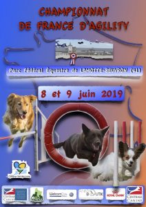 Championnat de France d'Agility 2019 @ Lamotte-Beuvron