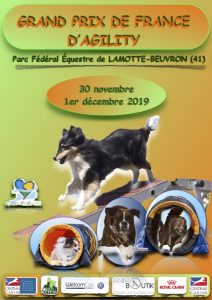 Grand Prix de France agility 2019 @ Lamotte Beuvron