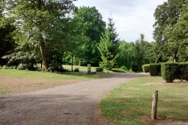 11219127_872841899419473_8972997207647132584_n