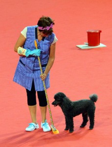 20844561524_02776a6a8c_z