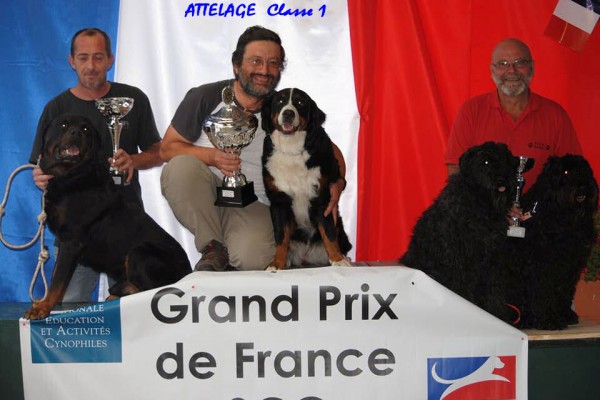 Podium GPF 2015 ACJS Classe1