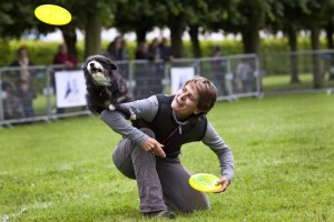 PURINA- Dog Chow Disc Up