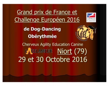 1-GPF Dog Dancing Obérythmée 2016