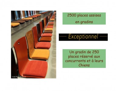 11-GPF Dog Dancing Obérythmée 2016 11