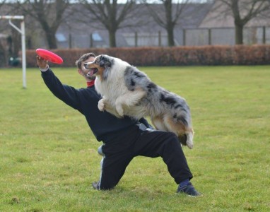 12888776_10201788279144915_7007129720215664480_o