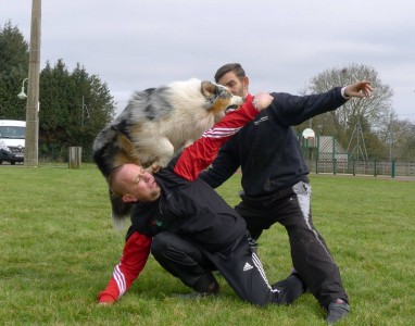 12891700_10153545449392607_4277300771015229647_o-1