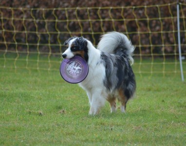 12898288_10201788283865033_766098616755987023_o