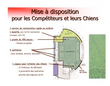 17-GPF Dog Dancing Obérythmée 2016 17