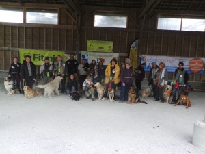 chiens visiteurs sport adapté