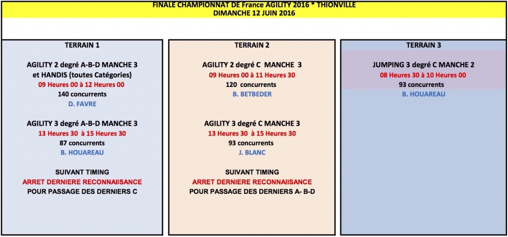 PLANNING_FINALE_CF_AGILITY_2016_DIMANCHE