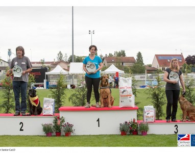 GPF 2016 – Podium Senior Cat D