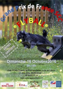 Affiche GPF flyball 2016