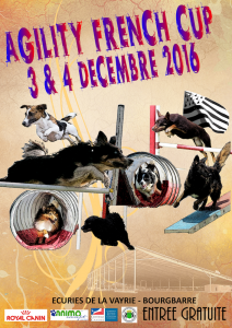 affiche french cup 2016