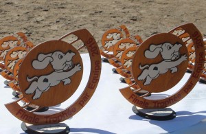 28722844773_f1f032b9b1_k