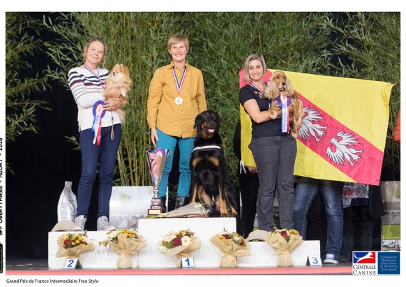 0027-30-octobre-2016-grand-prix-de-france-intermediaire-free-style