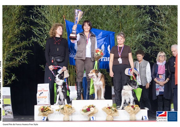 0028-30-octobre-2016-grand-prix-de-france-avance-free-style