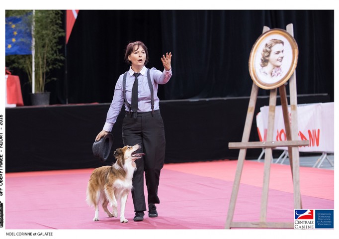 30263373283_cd534535b6_o