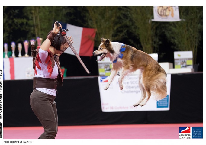 30264428134_b599e54925_b