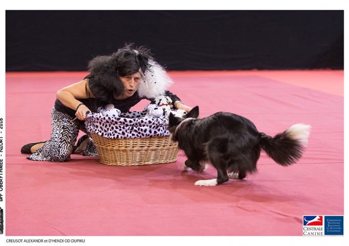 30811155481_16ea18096f_o