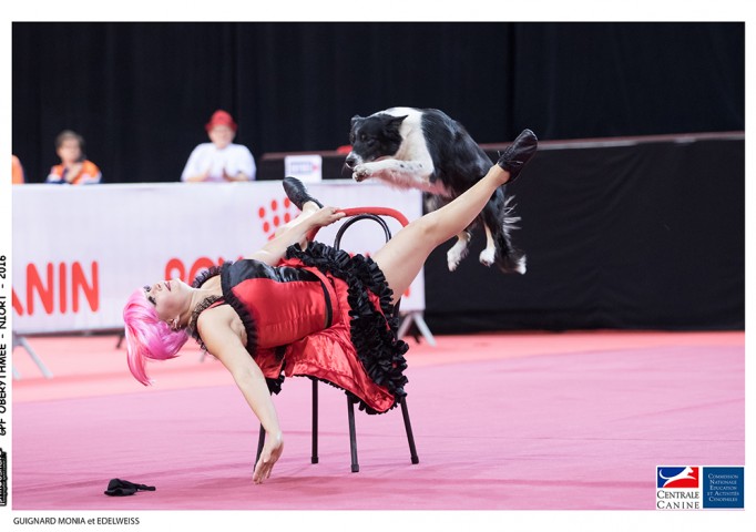 30896294475_b6bb332499_o