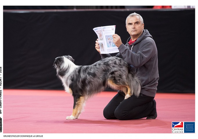 30896301705_e92fd0d3b4_o