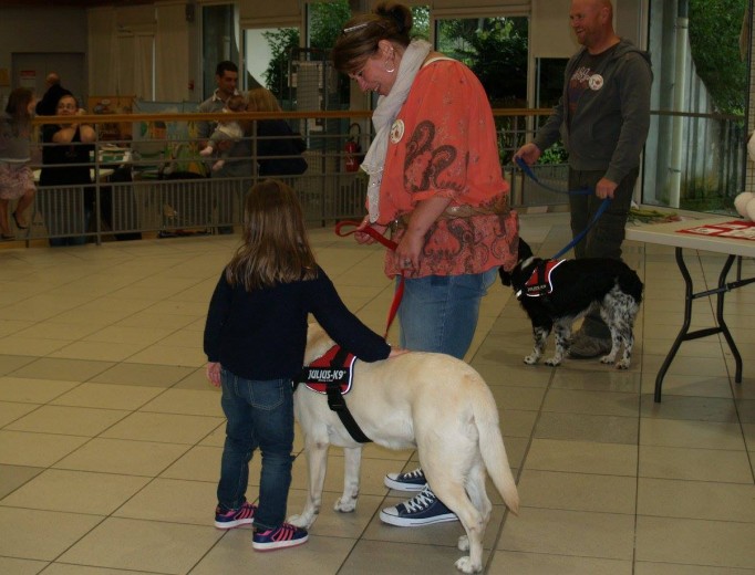 approche-du-chien-cerise-hermine