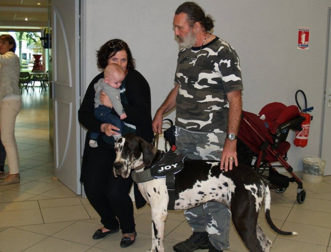 approche-du-chien-joy