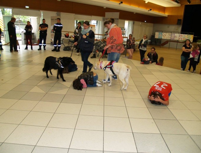 la-pierre-datcha-cerise