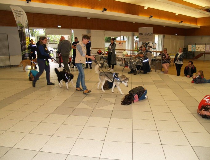 la-pierre-eliot-gipsy-harko