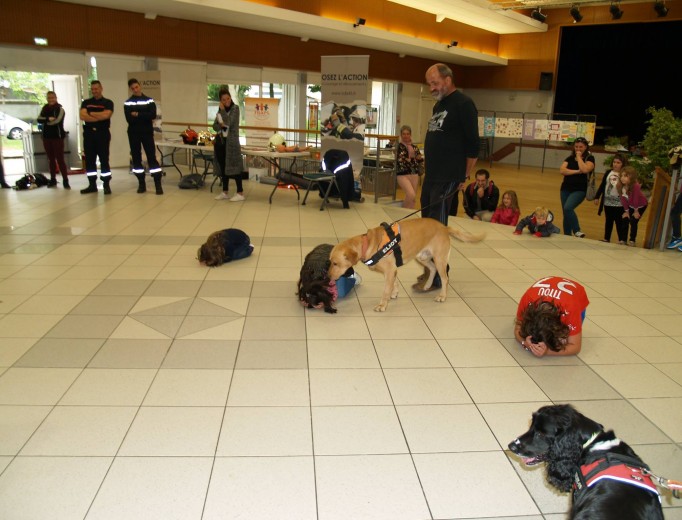 la-pierre-gipsy-eliot-hermine