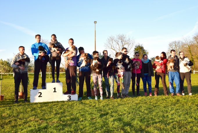 Las sélectionnés Small & Medium