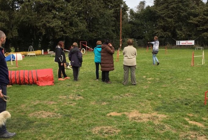 2017-04-07-PHOTO-00000001b