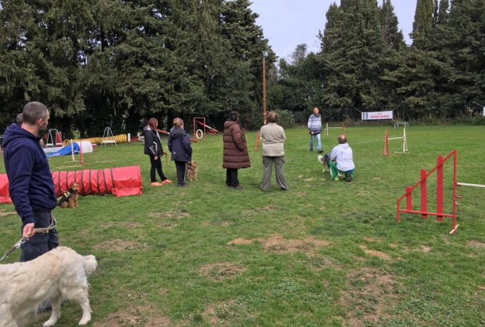 2017-04-07-PHOTO-00000003