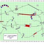 Agility C Hubert-Meynier