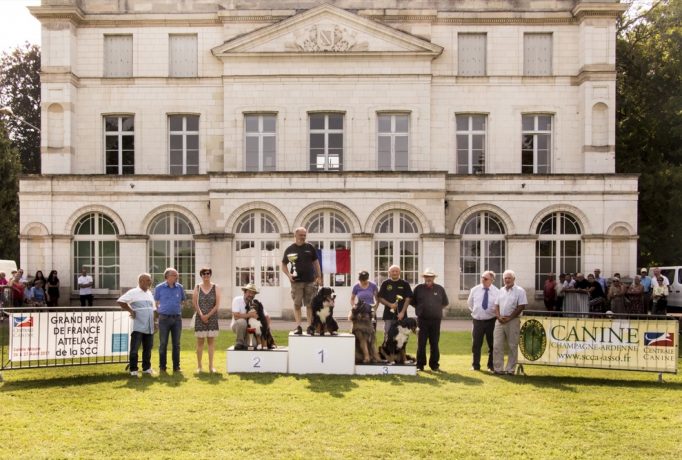 Podium Obstacles Classe 1-a