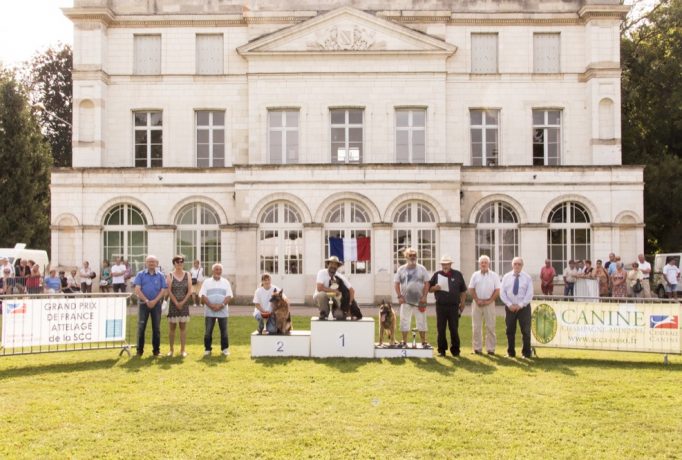 Podium Obstacles Classe 2-a