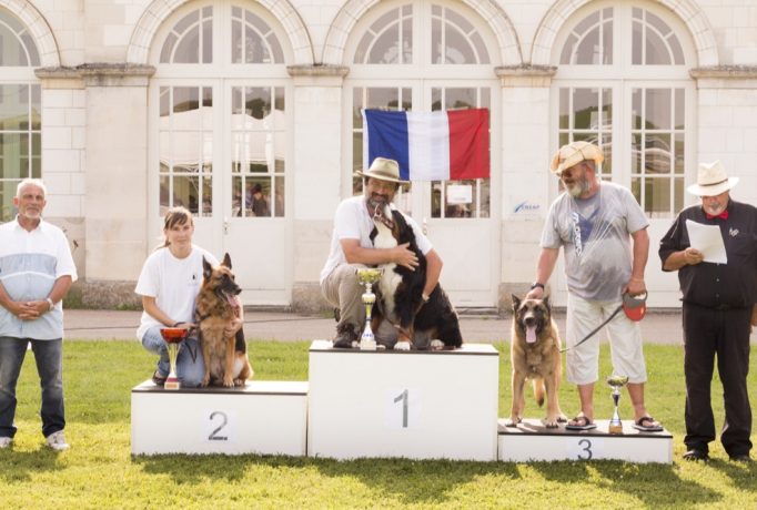 Podium Obstacles Classe 2-b