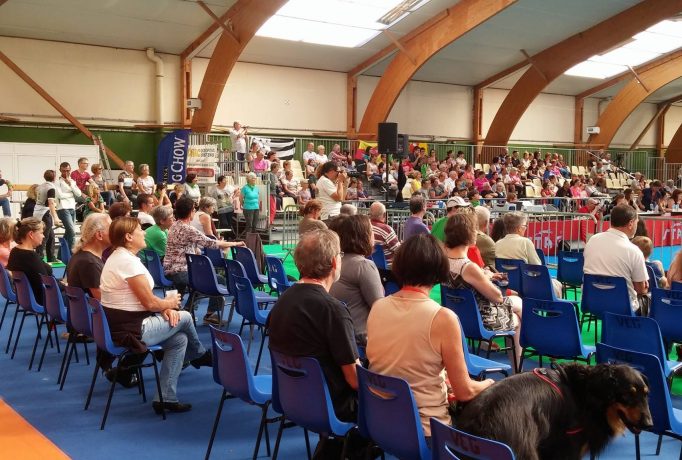 20776712_165110604048200_313069132247560169_o