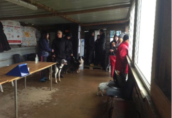 Flyball2