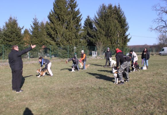 compte-rendu-stage 03