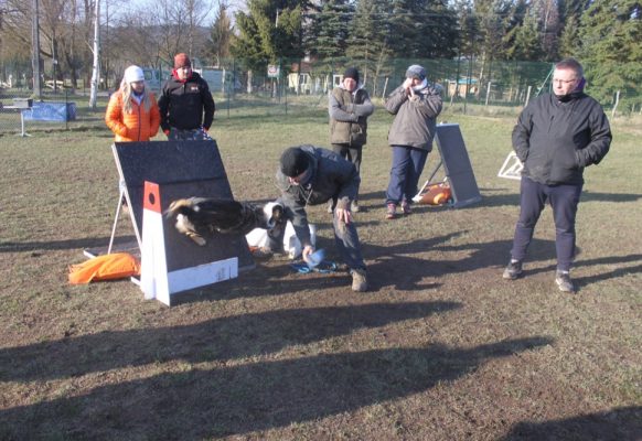 compte-rendu-stage 04