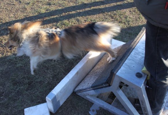 compte-rendu-stage 05