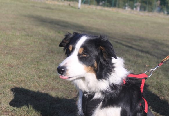 compte-rendu-stage 07