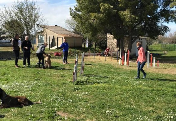 29343202_10214118526308961_8606060440636650400_n